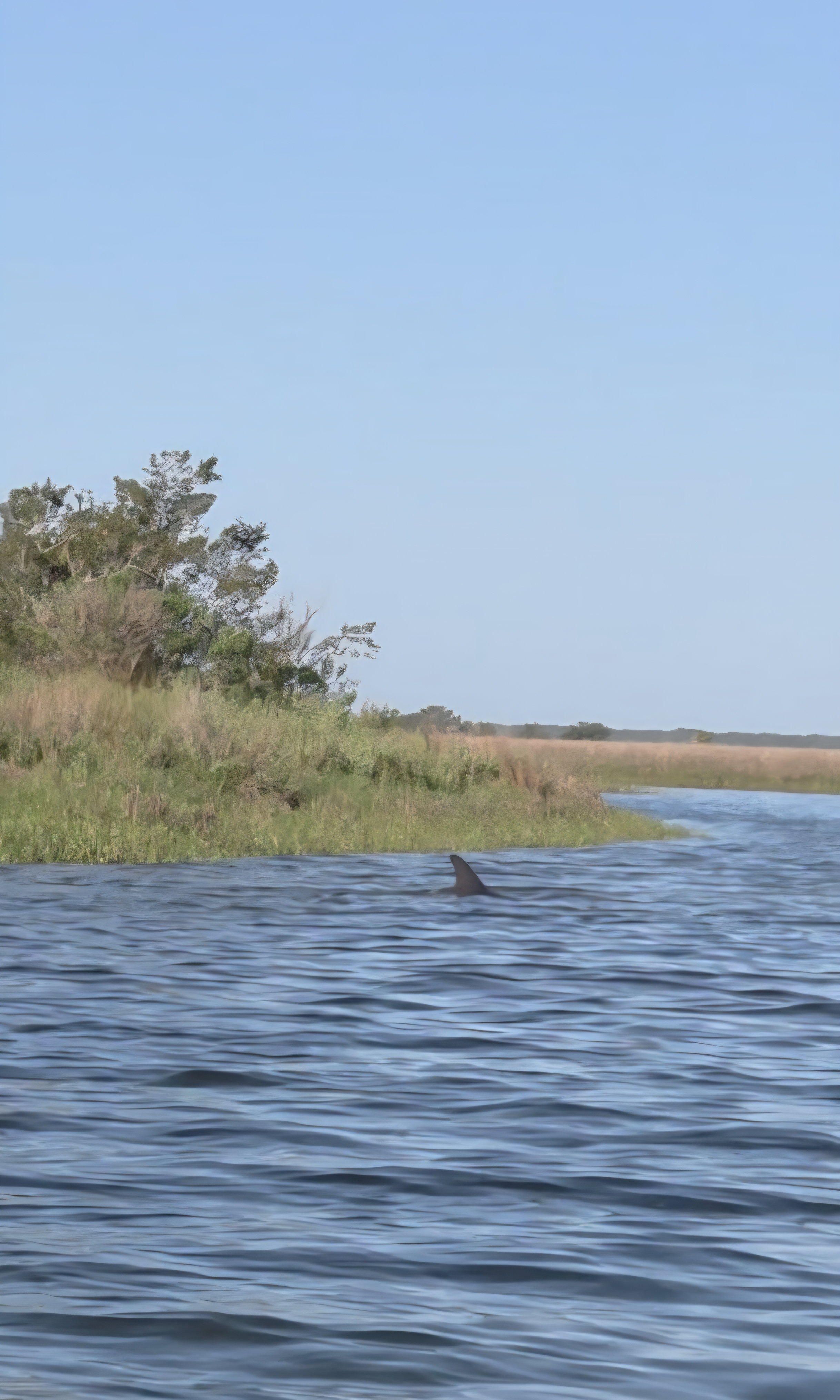Pop’s Fishing Adventure – Day 2